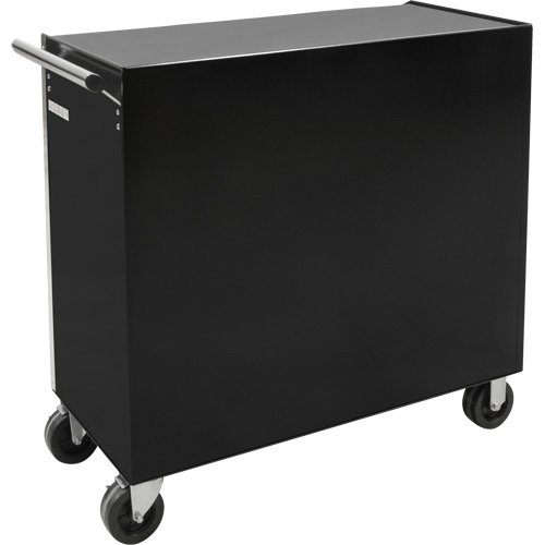 Industrial Tool Cart, 11 Drawers, 41" W x 18-3/4" D x 39-1/3" H, Black CSL Industriel Inc.