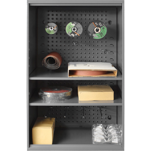 Abrasive Storage Cabinet with Pegboard, Steel, 19-7/8" x 14-1/4" x 32-3/4", Grey CSL Industriel Inc.