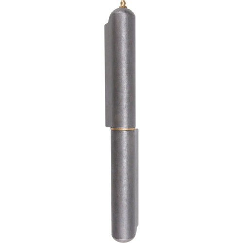 Weld-On Hinge, 1.102" Dia. x 10.236" L, Mild Steel w/Fixed Steel Pin CSL Industriel Inc.