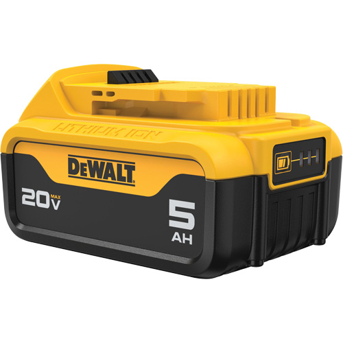 Bloc-piles Max XR Premium, Lithium-ion, 20 V, 5 A CSL Industriel Inc.