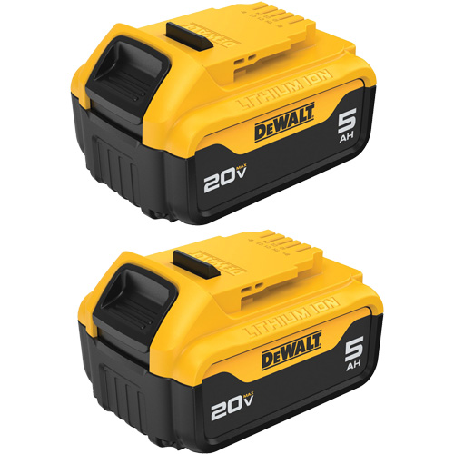Bloc-piles Max XR Premium, Lithium-ion, 20 V, 5 A CSL Industriel Inc.