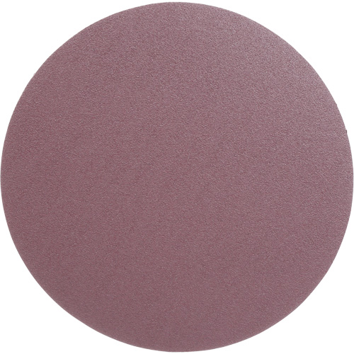 PSA Cloth Disc 348D, 12" Dia., 60 Grit, Aluminum Oxide, X-Weight CSL Industriel Inc.