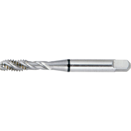 DRILLCO Spiral Flute Super High Performance BT Tap, High Speed Steel, 1/4"-28 Thread, 2-1/2" L CSL Industriel Inc.