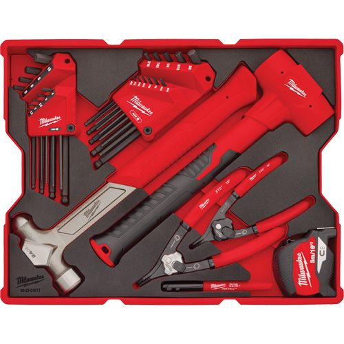 Hex Key & Hammer Set with Tray for PACKOUT Drawers CSL Industriel Inc.