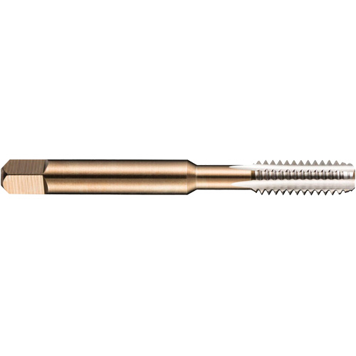 Taraud machine pour tuyau, 10-1,5, 3 cannelures, 80 mm lo, Conique, Acier rapide CSL Industriel Inc.