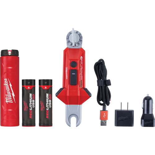Lampe USB polyvalente REDLITHIUM pour perche isolante, DEL, Piles Rechargeable, Aluminium CSL Industriel Inc.
