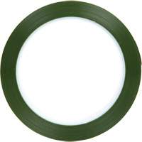 Polyester Tape, Polyester, 25.4 mm (1") W x 66 m (216') L, 1.9 mils Thick CSL Industriel Inc.
