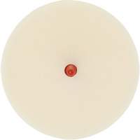 Scotch-Brite Moulding Adhesive & Stripe Removal Disc, 7501, 4" Dia. CSL Industriel Inc.
