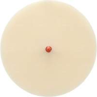 Scotch-Brite Moulding Adhesive and Stripe Removal Disc 7502, 6" Dia. CSL Industriel Inc.