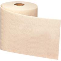 Ruban de nettoyage et de finition Scotch-Brite, Tr&egrave;s fin, Oxyde d'aluminium, 4" la x 30' lo CSL Industriel Inc.