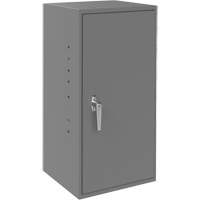 Utility Cabinet, Steel, 2 Shelves, 30" H x 13-3/4" W x 12-3/4" D, Grey CSL Industriel Inc.