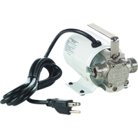 Pompes de transfert &agrave; amorçage automatique, non submersibles en laiton plaque - Pompe seulement, 115 V, 360 gal./h, 1/10 CV CSL Industriel Inc.
