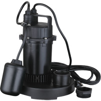 Thermoplastic Submersible Sump Pump, 2560 GPH, 115 V, 4.6 A, 1/3 HP CSL Industriel Inc.