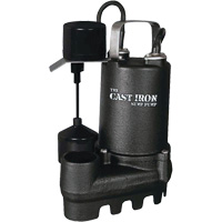 Cast Iron Submersible Sump Pump with Vertical Float Switch, 67 GPM, 33 V, 5 A, 1/3 HP CSL Industriel Inc.
