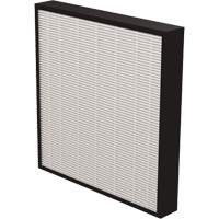 AeraMax&reg; Pro AM3 & AM4 2" True HEPA Filter, Box, 13.75" W x 2.25" D x 14.38" H CSL Industriel Inc.