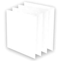 AeraMax&reg; Pro AM3 or AM4 Pre-Filters, 13.75" W x 0.13" D x 14.38" H CSL Industriel Inc.