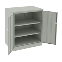 Deluxe Counter High Cabinet, Steel, 2 Shelves, 42" H x 36" W x 24" D, Light Grey CSL Industriel Inc.
