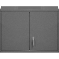 Wall-Mounted Cabinet, 27" H x 29-7/8" W x 13-11/16" D, 2 Shelves, Steel, Grey CSL Industriel Inc.