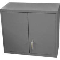 Wall-Mounted Cabinet, 27" H x 13-11/16" W x 35-7/8" D, 2 Shelves, Steel, Grey CSL Industriel Inc.