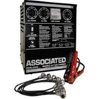 Multi-Battery Series Charger CSL Industriel Inc.
