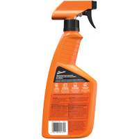 Multi-Purpose Auto Cleaner, 16 oz./473 ml, Trigger Bottle CSL Industriel Inc.