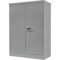 Counter-High Storage Cabinet, Steel, 2 Shelves, 42" H x 48" W x 24" D, Grey CSL Industriel Inc.