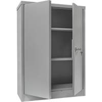 Counter-High Storage Cabinet, Steel, 2 Shelves, 42" H x 48" W x 24" D, Grey CSL Industriel Inc.