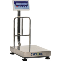 Balance &agrave; plateforme et d'&eacute;tabli Cyclone 150, Capacit&eacute; de 300 lb / 150 kg, 15-3/4" lo x 19-7/10" la CSL Industriel Inc.