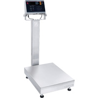 Defender 6000 Washdown Bench Scale, 100 lbs. Capacity, 19-7/10" L x 15-7/10" W CSL Industriel Inc.