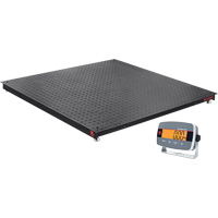 Balances de plancher Defender 3000, Capacit&eacute; de 5000 lb, 4' lo x 4' la CSL Industriel Inc.