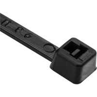 PA66 Cable Ties, 8" Long, 50 lbs. Tensile Strength, Black CSL Industriel Inc.