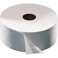 Advanced Toilet Paper, Jumbo Roll, 2 Ply, 751' Length, White CSL Industriel Inc.