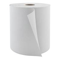 Pro Select Hardwound Hand Towels, 1 Ply, Standard, 800' L CSL Industriel Inc.