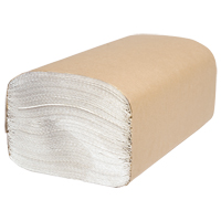 Essuie-mains Everest Pro un pli, 1 pli, 10-1/4" lo x 9-1/4" la, 250 /pqt CSL Industriel Inc.