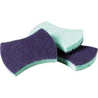 Sponges