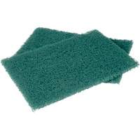 Scotch-Brite Hand Pads, Scrubbing, 6" W x 9" L CSL Industriel Inc.