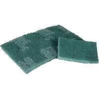 Scrubber Pad, 3" L x 4-1/2" W CSL Industriel Inc.