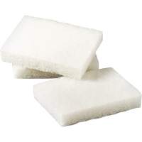 Scotch-Brite Light Duty Scrubbing Pad, 5" L x 3-1/2" W CSL Industriel Inc.