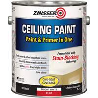 Ceiling Paint & Primer in One, White, Very Flat, 3.78 L, Gallon CSL Industriel Inc.