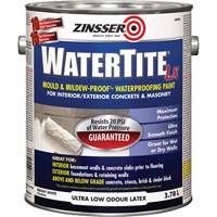 Watertite&reg; LX Mold & Mildew-Proof Waterproofing Paint, 3.78 L, Gallon, White CSL Industriel Inc.