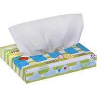 Papiers-mouchoirs pour enfants de Kleenex, 2 pli, 8,4" lo x 5,5" la, 40 feuilles/boîte CSL Industriel Inc.