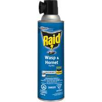 Raid&reg; Wasp & Hornet Bug Killer, 400 g, Solvent Base CSL Industriel Inc.