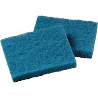 Non-Stick Cookware Cleaning Pad, Scrubbing, 5-1/4" W x 4" L CSL Industriel Inc.