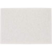 Tampon pour planchers TopLine Speed, 14" x 20", Lustrage/Nettoyage/Polissage, Blanc CSL Industriel Inc.