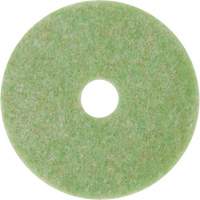 Tampon de m&eacute;lange naturel, 12", &agrave; r&eacute;curer, Vert CSL Industriel Inc.
