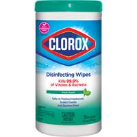 Disinfecting Wipes, 75 Count CSL Industriel Inc.