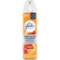 Air Freshener, Hawaiian Breeze&reg;, Aerosol Can CSL Industriel Inc.