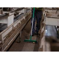 Push Broom Head, Fine/Stiff Bristles, 16-1/2", Polyester/Polypropylene, Green CSL Industriel Inc.