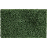 Disposable Thinline Scrubbing Pad, Scrubbing/Stripping, Green CSL Industriel Inc.