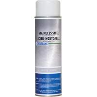 Stainless Steel Cleaner, 396 g, Aerosol Can CSL Industriel Inc.